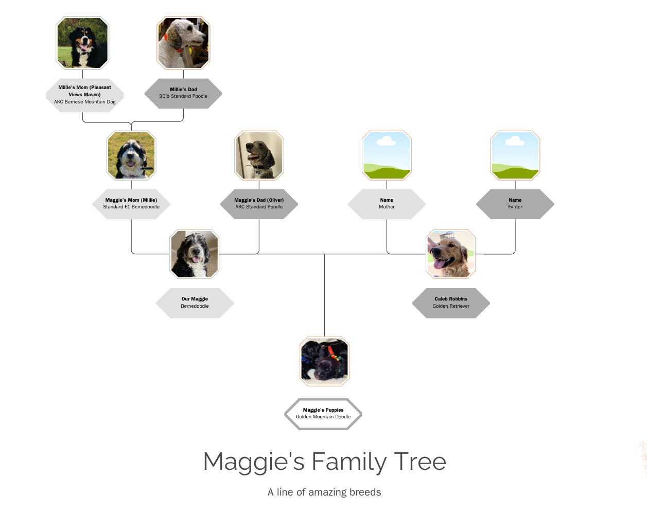 Maggie's Geneology